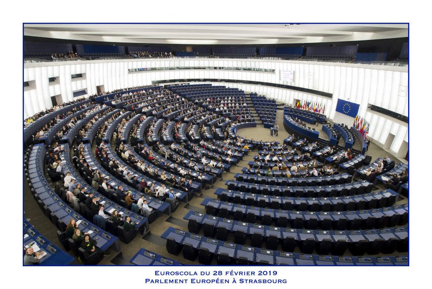 europa pentru noi noi pentru europa liceenii medgidieni vorbesc despre parlamentul european din propria europa pentru noi noi pentru europa liceenii medgidieni vorbesc despre parlamentul european din propria