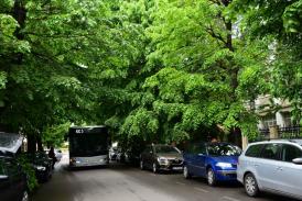 Atenție șoferi! Traficul rutier va fi îngreunat sâmbătă pe strada Răscoalei din 1907 din Constanța (galerie foto)