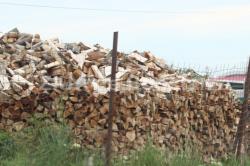 ISU „Dobrogea“ achiziţionează lemne de esenţă tare (document)