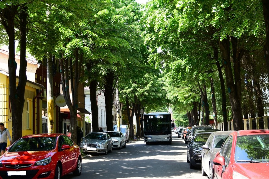 primaria municipiului constanta continua lucrarile de toaletare a arborilor pe strada rascoalei din 1907 primaria municipiului constanta continua lucrarile de toaletare a arborilor pe strada rascoalei din 1907