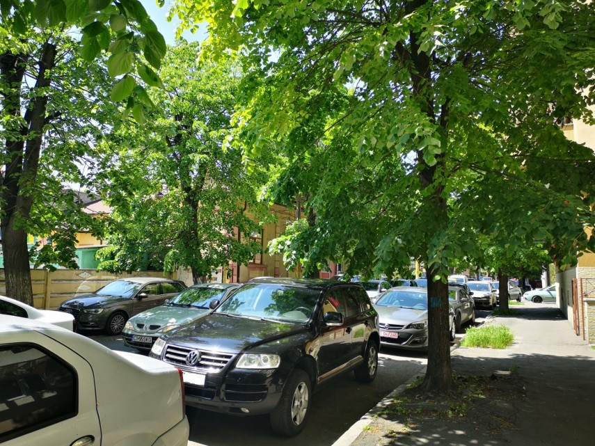 primaria municipiului constanta continua lucrarile de toaletare a arborilor pe strada rascoalei din 1907 primaria municipiului constanta continua lucrarile de toaletare a arborilor pe strada rascoalei din 1907