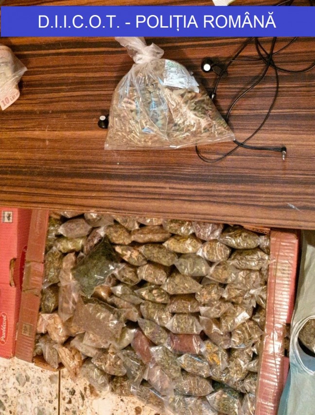 suspecti de trafic de droguri de risc si etnobotanice retinuti de procurorii diicot ce au gasit anchetatorii suspecti de trafic de droguri de risc si etnobotanice retinuti de procurorii diicot ce au gasit anchetatorii