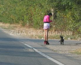 Ce a decis Curtea de Apel Constanţa în cazul unui bărbat acuzat de proxenetism 