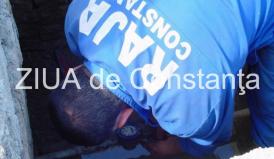 Avarie RAJA la intersecția străzilor Mihai Viteazu cu Dacia