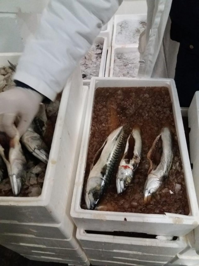 nereguli majore gasite la pestele de import in mai multe hypermarket uri intr o singura zi de control nereguli majore gasite la pestele de import in mai multe hypermarket uri intr o singura zi de control