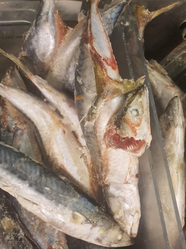 nereguli majore gasite la pestele de import in mai multe hypermarket uri intr o singura zi de control nereguli majore gasite la pestele de import in mai multe hypermarket uri intr o singura zi de control