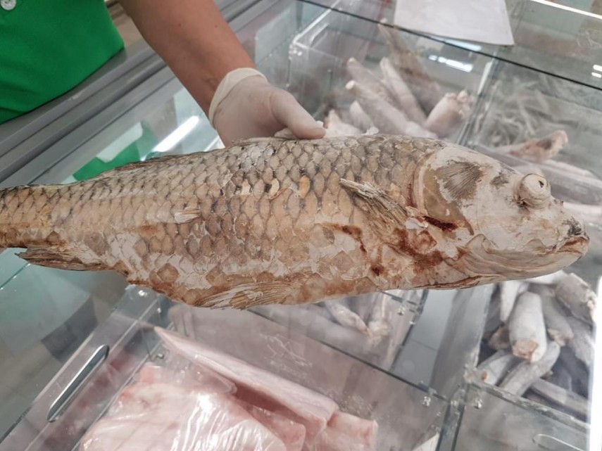 nereguli majore gasite la pestele de import in mai multe hypermarket uri intr o singura zi de control nereguli majore gasite la pestele de import in mai multe hypermarket uri intr o singura zi de control