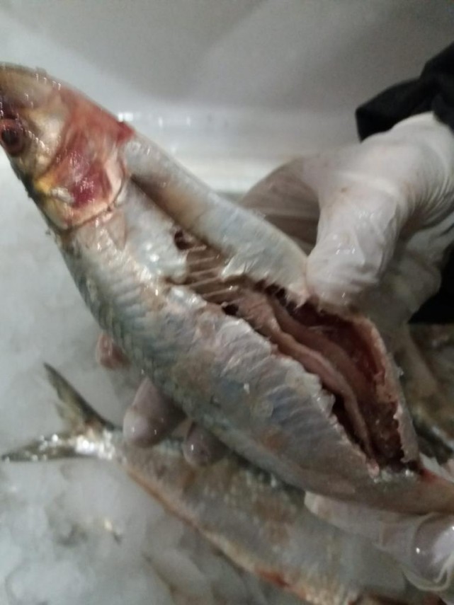 nereguli majore gasite la pestele de import in mai multe hypermarket uri intr o singura zi de control nereguli majore gasite la pestele de import in mai multe hypermarket uri intr o singura zi de control