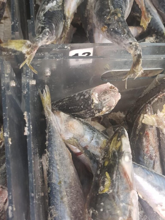 nereguli majore gasite la pestele de import in mai multe hypermarket uri intr o singura zi de control nereguli majore gasite la pestele de import in mai multe hypermarket uri intr o singura zi de control