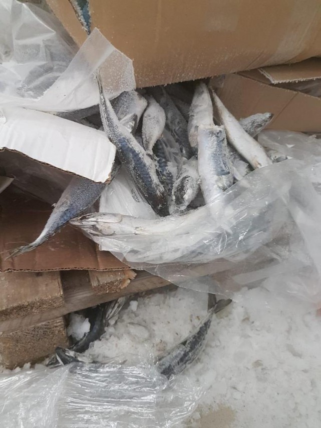 nereguli majore gasite la pestele de import in mai multe hypermarket uri intr o singura zi de control nereguli majore gasite la pestele de import in mai multe hypermarket uri intr o singura zi de control