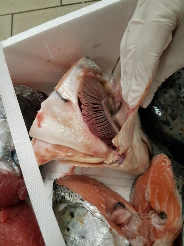 nereguli majore gasite la pestele de import in mai multe hypermarket uri intr o singura zi de control nereguli majore gasite la pestele de import in mai multe hypermarket uri intr o singura zi de control