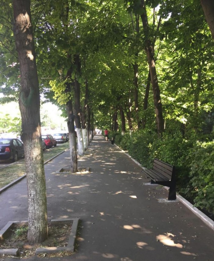 actiunile de salubrizare stradala in municipiul constanta sunt in toi in ce zone au actionat echipele