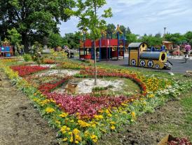 Explozie de culoare! Peste 30 de mii de flori, plantate în Ţara Piticilor din Parcul Tăbăcărie (galerie foto)