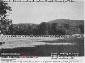 #citeșteDobrogea „Industria“ Dobrogei așa cum era la 1900.  Județul Tulcea (II)