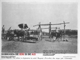 #DobrogeaDigitală „Mărturii de epocă privind istoria Dobrogei (1878-1947)“  Apariţia ziarului „Dobrogea“ - „Păşim cu sfială la luptă, dar cu inima curată“      