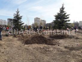 Constanţa Restart Copacii au nevoie de oameni. Să ajutăm arborii sufocaţi de vremea caniculară!