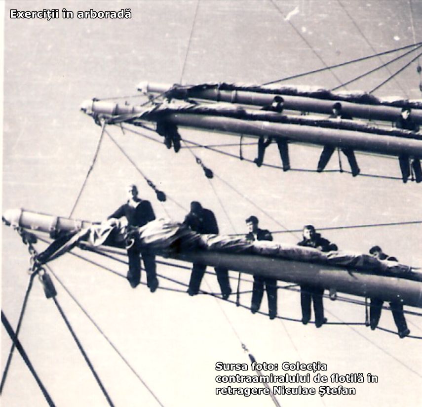 ana aslan si gerovitalul german compania de vikingi galerie foto 695096 ana aslan si gerovitalul german compania de vikingi galerie foto 695096