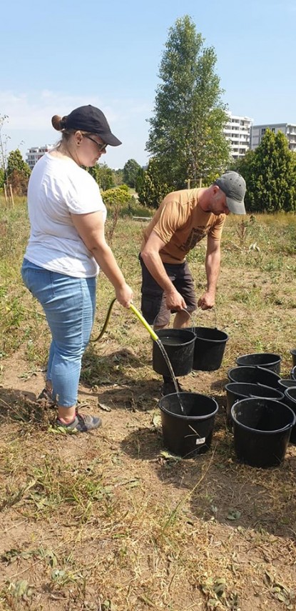 voluntarii constanta restart actiune de intretinere a copacilor plantati recent in ovidius park galerie voluntarii constanta restart actiune de intretinere a copacilor plantati recent in ovidius park galerie