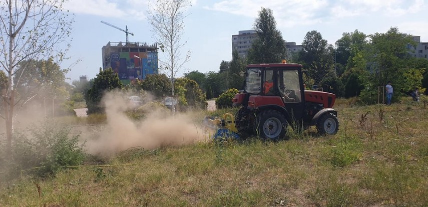 voluntarii constanta restart actiune de intretinere a copacilor plantati recent in ovidius park galerie voluntarii constanta restart actiune de intretinere a copacilor plantati recent in ovidius park galerie