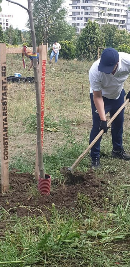 voluntarii constanta restart actiune de intretinere a copacilor plantati recent in ovidius park galerie voluntarii constanta restart actiune de intretinere a copacilor plantati recent in ovidius park galerie