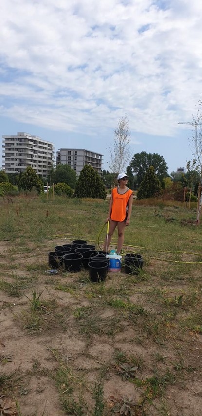 voluntarii constanta restart actiune de intretinere a copacilor plantati recent in ovidius park galerie voluntarii constanta restart actiune de intretinere a copacilor plantati recent in ovidius park galerie