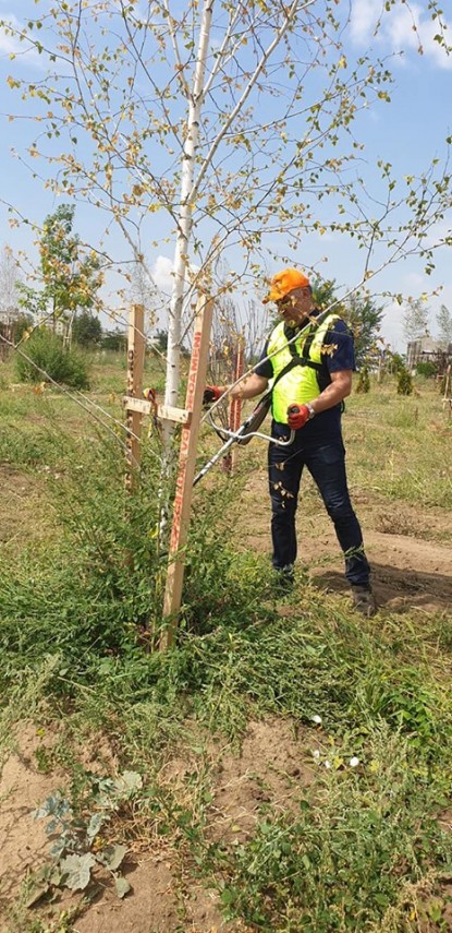 voluntarii constanta restart actiune de intretinere a copacilor plantati recent in ovidius park galerie voluntarii constanta restart actiune de intretinere a copacilor plantati recent in ovidius park galerie