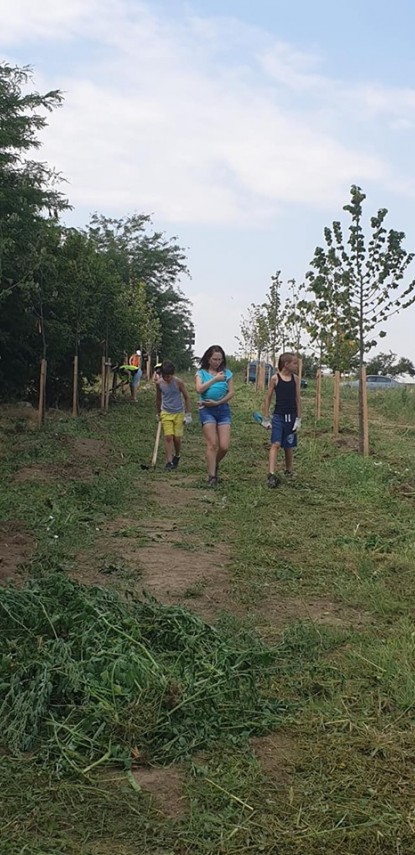 voluntarii constanta restart actiune de intretinere a copacilor plantati recent in ovidius park galerie voluntarii constanta restart actiune de intretinere a copacilor plantati recent in ovidius park galerie