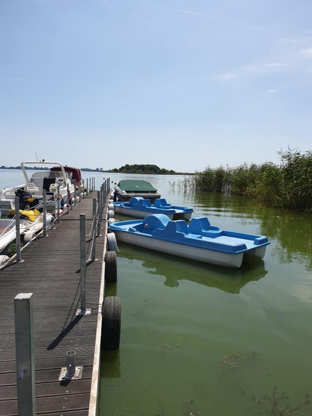 plimbari cu caiace si hidrobiciclete oferite gratuit de primaria ovidiu 695727 plimbari cu caiace si hidrobiciclete oferite gratuit de primaria ovidiu 695727