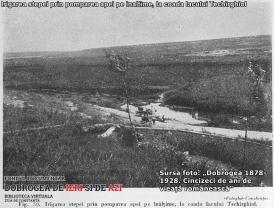 Pădurile județului Constanța, în urmă cu aproape un veac (I)   