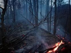 ROMSILVA Cum putem preveni incendiile izbucnite în pădure