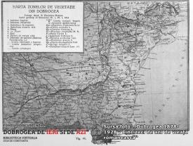 Pădurile județului Constanța, în urmă cu aproape un veac (II)