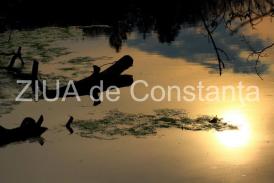 centrulnatura.ro Imaginaţia