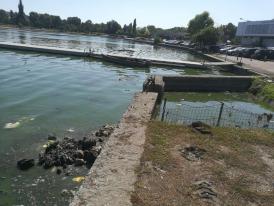 Constănţeanul supărat  Petiţie online pentru ecologizarea lacului Tăbăcărie din Constanţa. Directorul ABADL - „Curăţăm, dar nu putem zilnic, recunosc!“ (galerie foto+document)