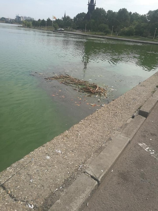 constanteanul suparat petitie online pentru ecologizarea lacului tabacarie din constanta directorul abadl constanteanul suparat petitie online pentru ecologizarea lacului tabacarie din constanta directorul abadl