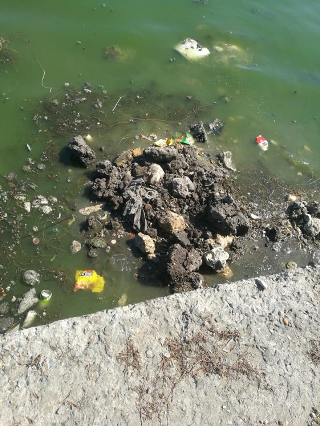 constanteanul suparat petitie online pentru ecologizarea lacului tabacarie din constanta directorul abadl constanteanul suparat petitie online pentru ecologizarea lacului tabacarie din constanta directorul abadl