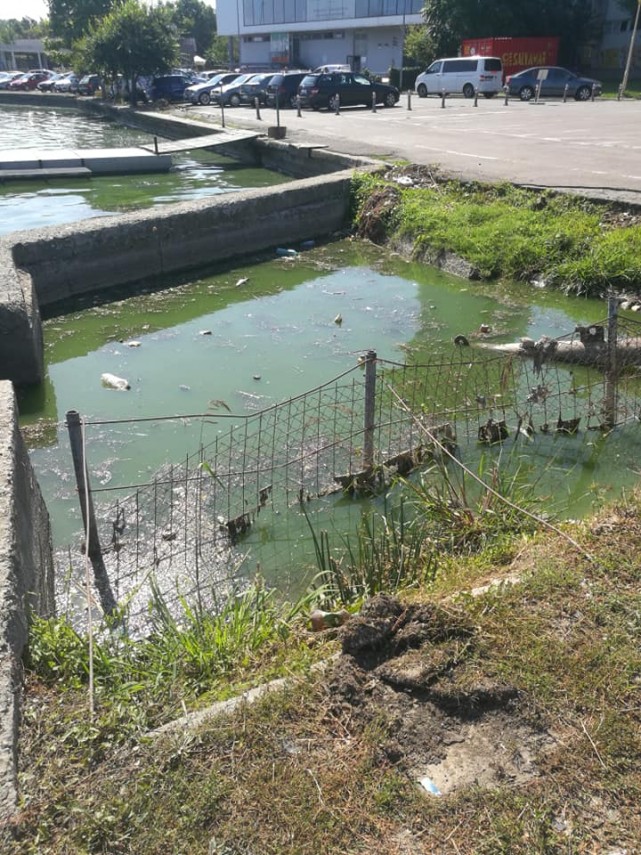 constanteanul suparat petitie online pentru ecologizarea lacului tabacarie din constanta directorul abadl constanteanul suparat petitie online pentru ecologizarea lacului tabacarie din constanta directorul abadl