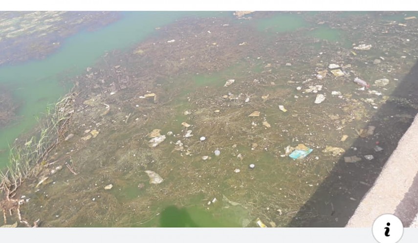 constanteanul suparat petitie online pentru ecologizarea lacului tabacarie din constanta directorul abadl constanteanul suparat petitie online pentru ecologizarea lacului tabacarie din constanta directorul abadl