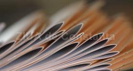 A fost publicată lista celor 10.000 de beneficiari, în cadrul celei de-a doua sesiuni a programului Start-up Nation