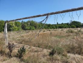 Constănţeanul supărat  „Terenurile de sport sunt oglinda stării de spirit a locuitorilor. Vegetaţia face ca tribunele să pară una cu terenul!“