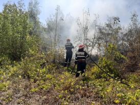 Trei incendii de vegetaţie în 45 de minute în municipiile Constanţa şi Tulcea (galerie foto)