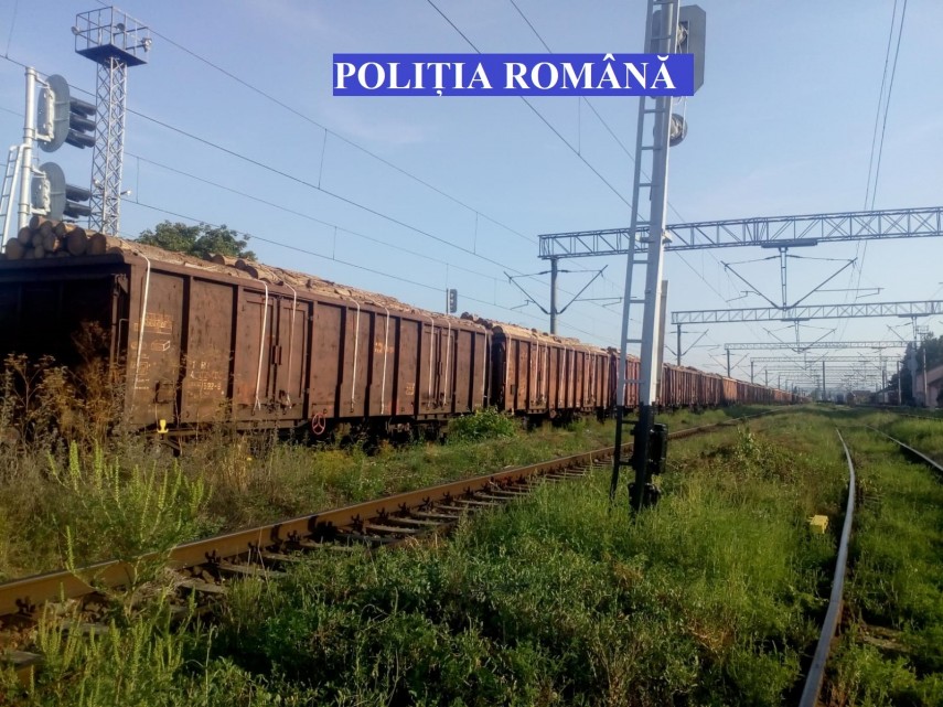 tren plin cu material lemnos fara documente legale ce masuri au luat politistii din teius galerie foto tren plin cu material lemnos fara documente legale ce masuri au luat politistii din teius galerie foto