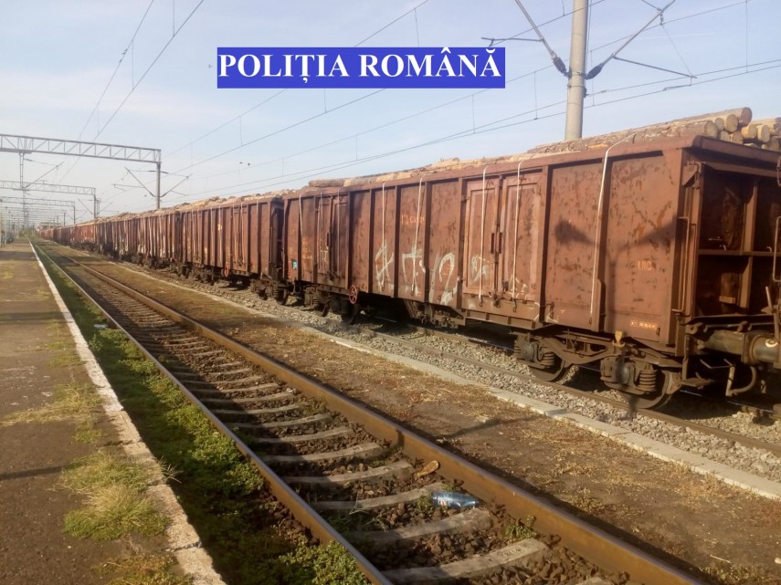 tren plin cu material lemnos fara documente legale ce masuri au luat politistii din teius galerie foto tren plin cu material lemnos fara documente legale ce masuri au luat politistii din teius galerie foto