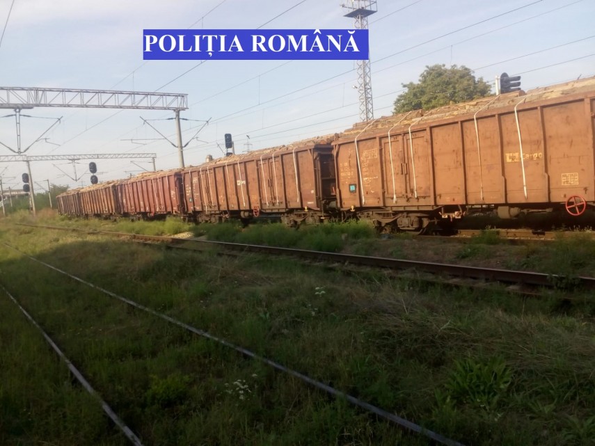tren plin cu material lemnos fara documente legale ce masuri au luat politistii din teius galerie foto tren plin cu material lemnos fara documente legale ce masuri au luat politistii din teius galerie foto