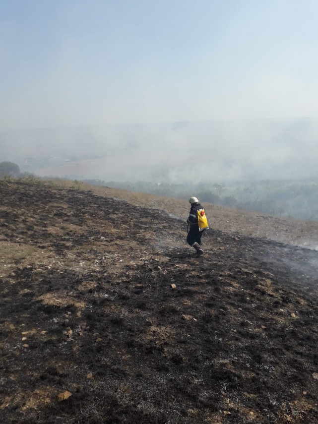 judetul tulcea zeci de hectare de vegetatie mistuite de flacari intervin forte impresionante 698883 judetul tulcea zeci de hectare de vegetatie mistuite de flacari intervin forte impresionante 698883