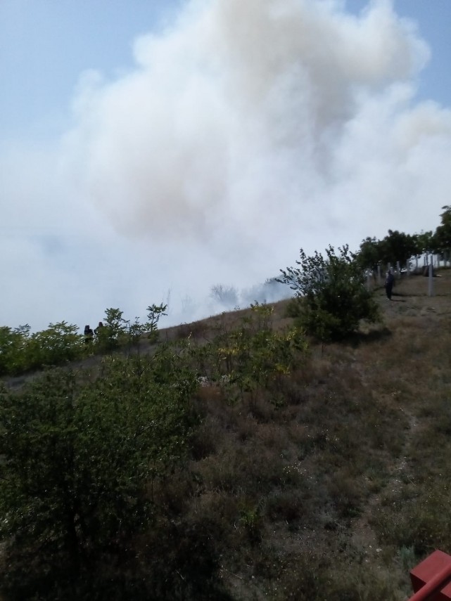 judetul tulcea zeci de hectare de vegetatie mistuite de flacari intervin forte impresionante 698883 judetul tulcea zeci de hectare de vegetatie mistuite de flacari intervin forte impresionante 698883