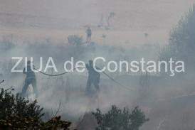 Incendiu pe strada Olteniei din localitatea General Scărișoreanu
