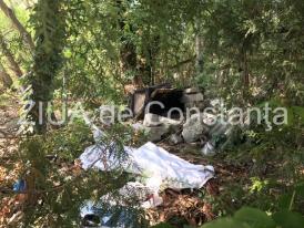 IPJ Constanţa, despre persoana gasită decedată, în zona Delfinariu      