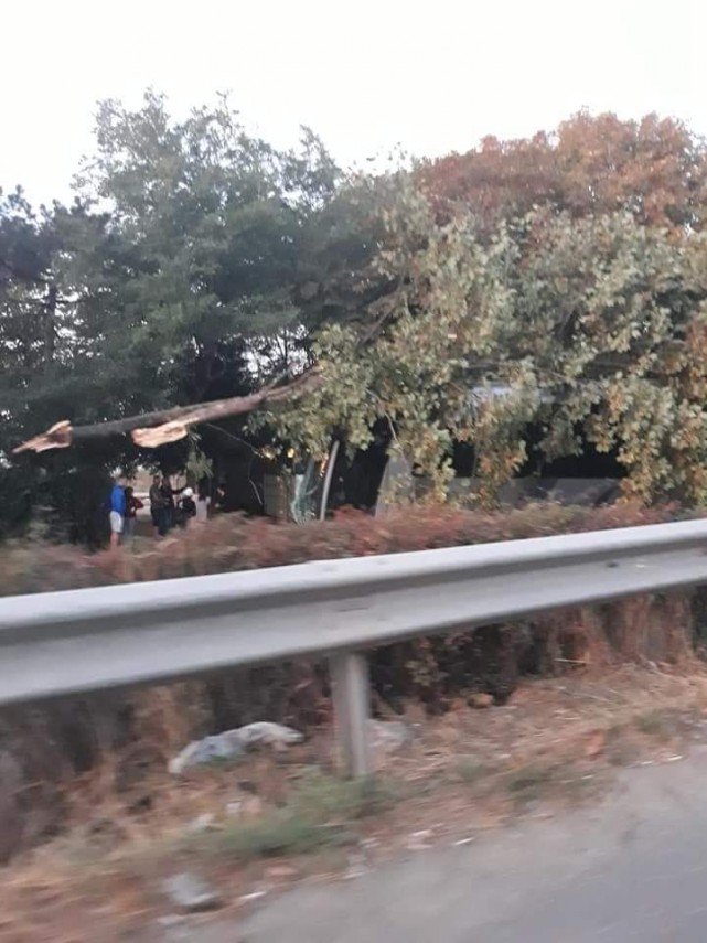 accident rutier grav intre eforie nord si sud un autocar cu turisti a sarit bordura si a intrat intr accident rutier grav intre eforie nord si sud un autocar cu turisti a sarit bordura si a intrat intr