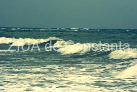 jobjogjoy.com Zgândărirea rănilor 