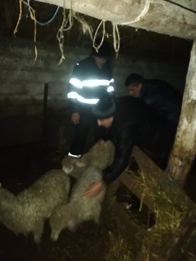 a fost potop inundatii in aceasta noapte in judetul constanta 701262 a fost potop inundatii in aceasta noapte in judetul constanta 701262